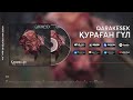 QARAKESEK - ҚУРАҒАН ГҮЛ | OFFICIAL VIDEO | 2022