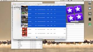 How to use the Image Capture app on your Mac screenshot 5