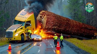Massive Log Truck Crash Ends in Flames | Shocking Road Disaster Caught on Camera!