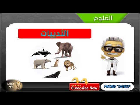 فيديو: ما هي الثدييات الليلية؟