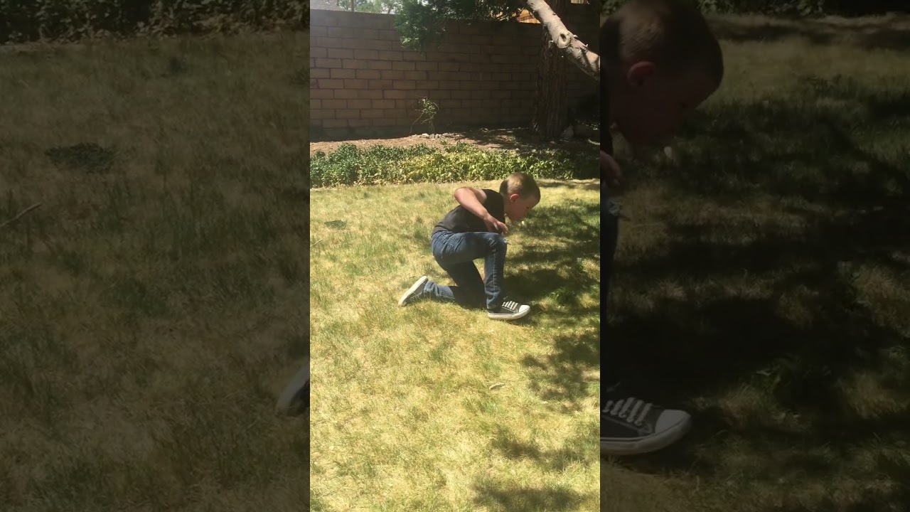 Upset boy seated on grass stands up then bumps head on tree branch