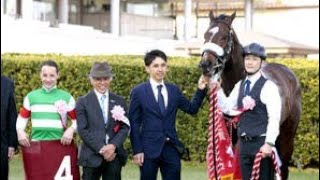 定年後まさかの決断…国枝栄が選んだ“もう一つの現役”🐎🔥#国枝栄 #競馬 #JRA #調教師 #厩務員 #生涯現役 #感動ストーリー #競馬ファン #人生の選択