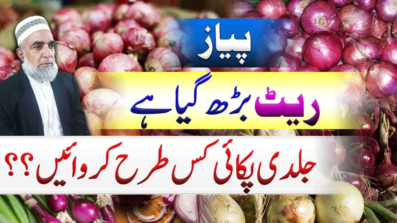 How to mange onion crop earlier in wake of higher prices || Crop Reformer