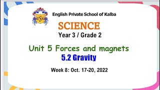 Science activity: Do heavier objects fall faster?