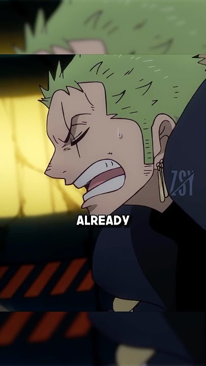 Zoro using 100% of his brain 🫠