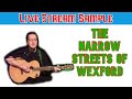 The Narrow Streets of Wexford - Live stream sample #4