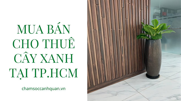 Công ty cho thuê cây xanh văn phòng tphcm năm 2024