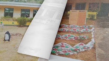 Best Practices on the Modular Distance Learning