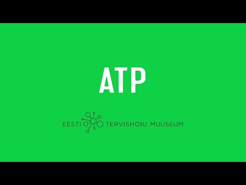 Suhkur. ATP | Eesti Tervishoiu Muuseum