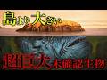 Urban Legend Unidentified Creature Gigantic Marine Creature Spotted On Google Earth Hafug 
