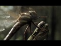 HEAVEN SHALL BURN - Bildersturm Trailer