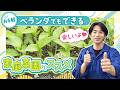 【澤夏と学ぶ!】簡単!ベランダでもできる本格家庭菜園のススメ
