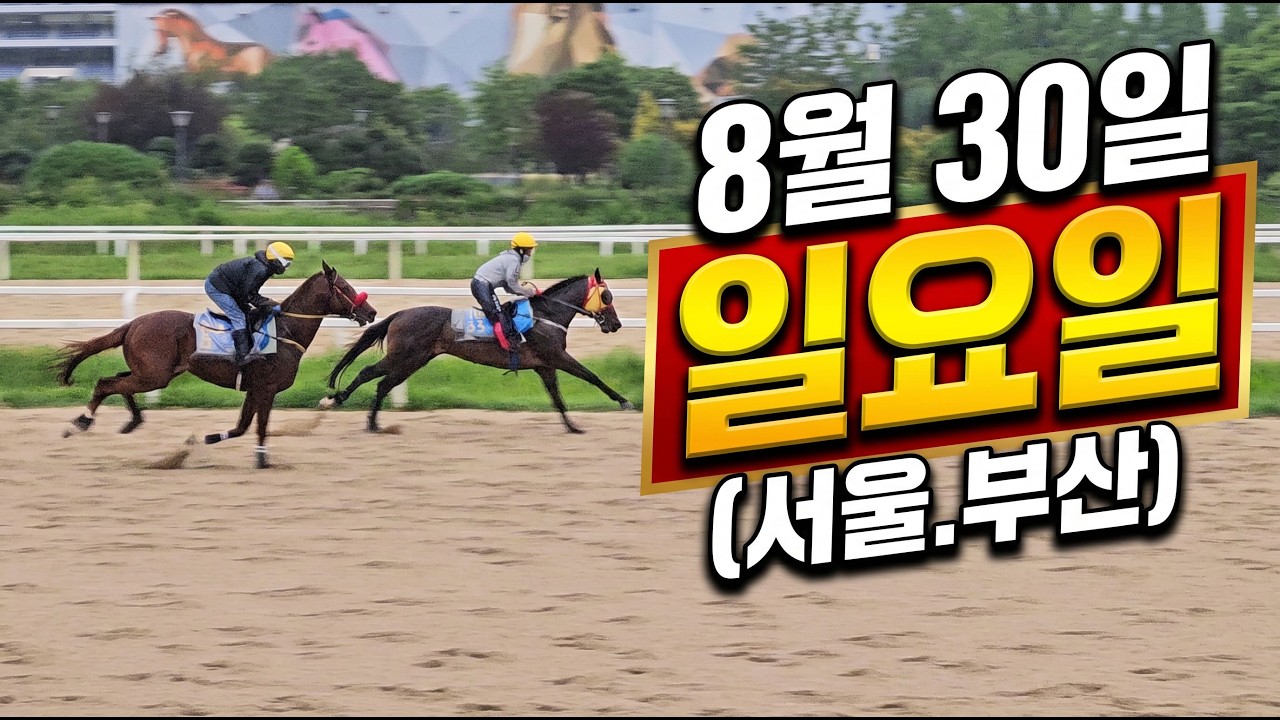 [ 2026년 8월 30일 일요(서울.부산)경마~!]