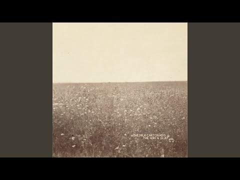 The Milk Carton Kids - Hope Of A Lifetime