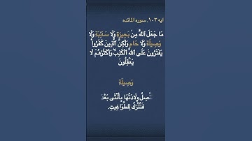معني ( بَحِيرَةٖ ) و ( سَآئِبَةٖ ) و (وَصِيلَةٖ ) و ( حَامٖ ) في سوره المائده