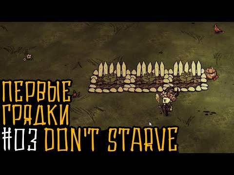 Don't Starve Together: #03 Первые грядки