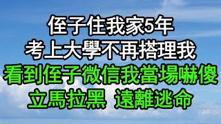 侄子住我家5年考上大學不再搭理我直到看到侄子微信我當場嚇傻立馬拉黑遠離逃命#深夜淺讀 #為人處世 #生活經驗 #情感故事