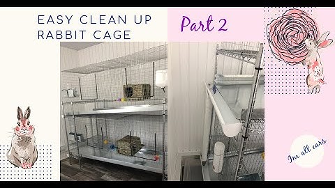 EASY CLEAN UP RABBIT CAGE PART 2