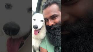 snehichal chank parichutherum🐾❤️#dogs #petsrule #puppy #puppylove #dog #viral #shots #youtubeshorts
