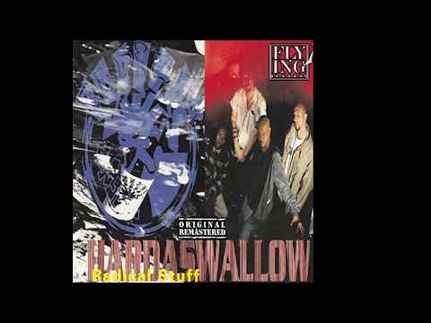Radical Stuff — Radical Stuff - Hardswallow (Full Album) 1994
