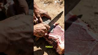 RAW MEAT for 2 MILLION YEARS?! 😱 How Humans Survived Before Cooking