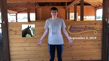 Register for the Round Up Relay - Forward Stride