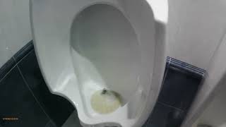 INODOROS DE CORDOBA: 2x 2000 inodoros Roca Victoria con tapas y fluxors y dos urinarios
