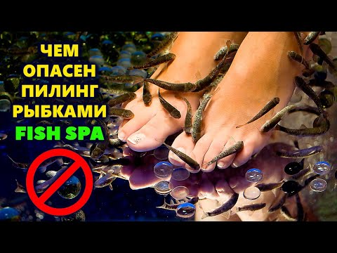 🐠 ЧЕМ ОПАСЕН ПИЛИНГ РЫБКАМИ ГАРРА РУФА / Какие болезни они переносят / Fish-пилинг / FISH SPA