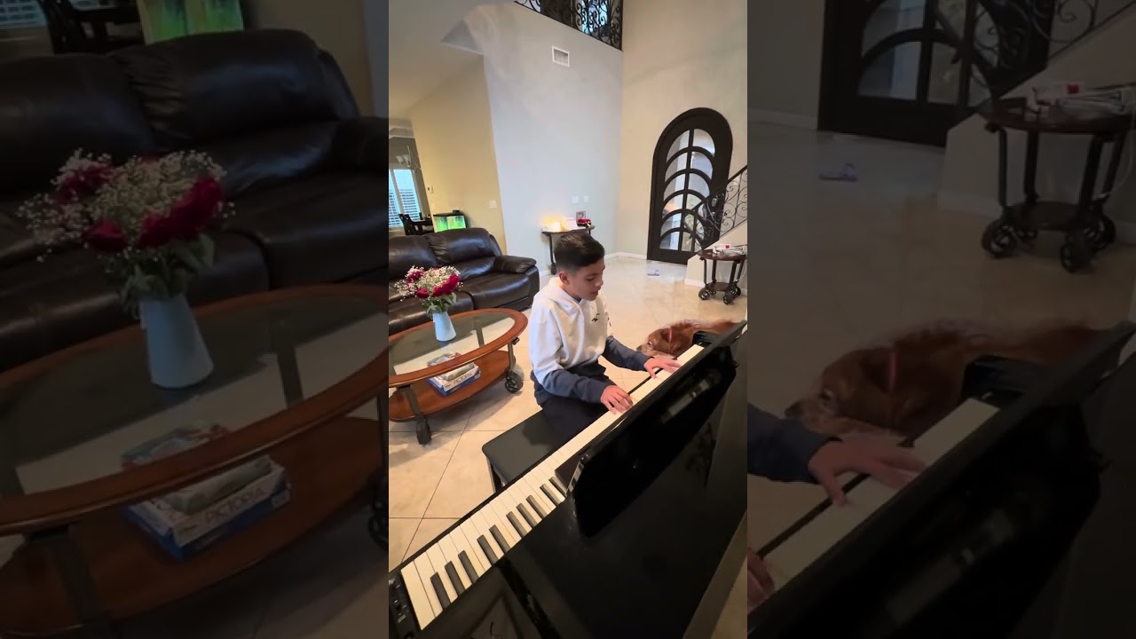 When I was your man - Leo Solar