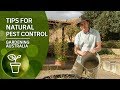 Top tips for natural pest control including rats, possums and birds