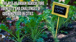 The Rise of Urban Agriculture Benefits and Challenges of Growing Food in Cities