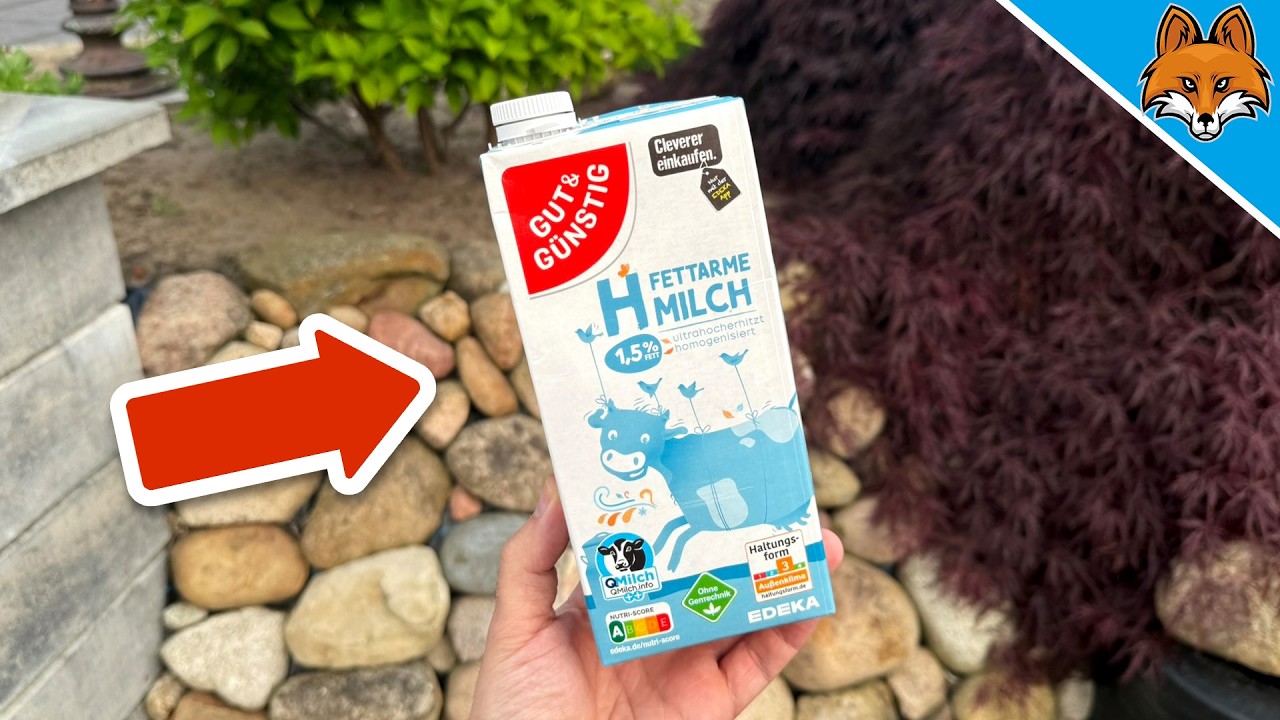 Kippe Milch in deinen Garten und STAUNE WAS PASSIERT(3 Geniale Tricks)
