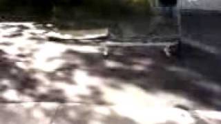 Ramp to 50-50 bail