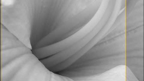 How To Use Jing Screen Capture