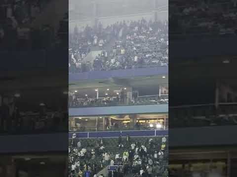 VAIAS PRO PALMEIRAS NA LIBERTADORES 🚨
