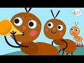 Activities of the Little One with Ants