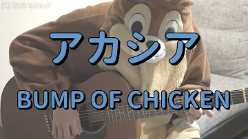 アカシアギター