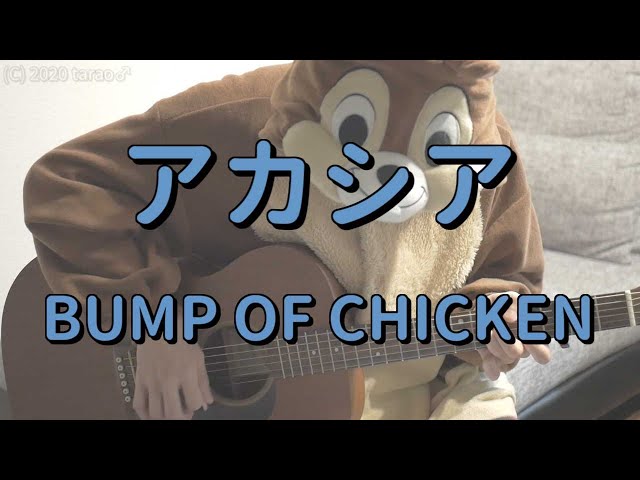 アカシア Bump Of Chicken ギターコード Tarao S Room
