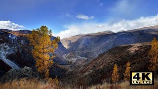 Природа Алтая 4К Altai 4K
