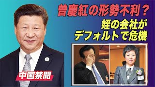 曽慶紅の形勢不利？ 姪の会社がデフォルトで危機【禁聞】