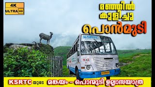 Ponmudi Hill Station Ponmudi Tourist Placesponmudi Keralaponmudi Tourist Places Latest 