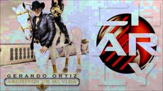 Gerardo (musician) visual data 2