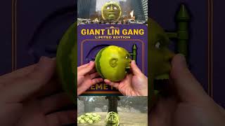 Unboxing Giant Lin Gang Melon