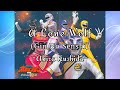 A Lone Wolf (Gin No Senshi) - Akira Kushida (Gaoranger)