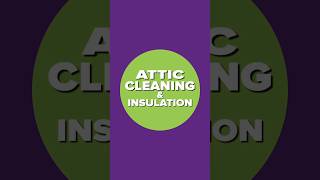 Grossest Attic Ever? Cleaning Mouse Droppings &amp; Insulating!