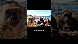İzmirde Gezdik Gün Batımını Seyrettik Muzocan Vlog 19