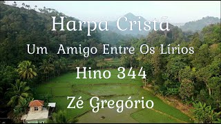 Hino 344 Um Amigo Enrtre Os Lírios - Harpa Cristã