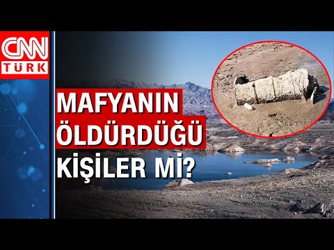 Video: Mead gölünün timsahları varmı?