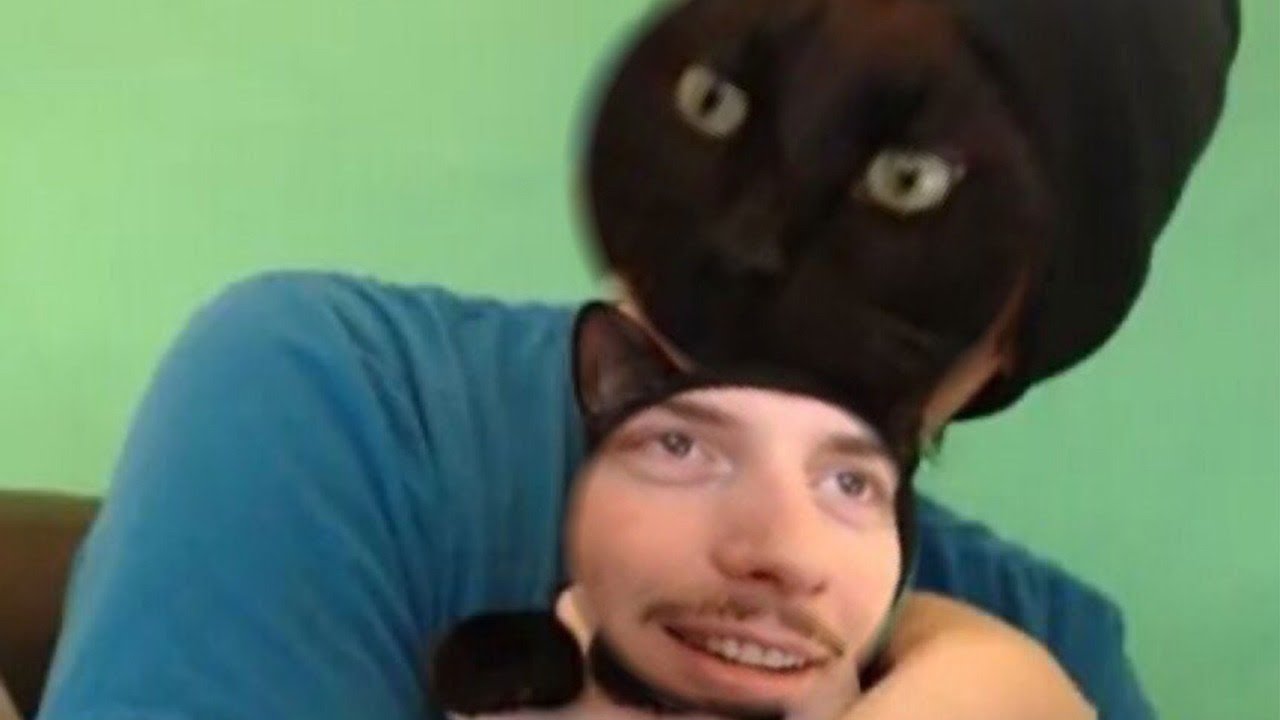 cat-bisky-youtube