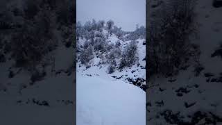 Мерседес  w202 Vs snow